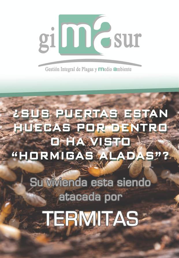 Gimasur | Control de Plagas y Legionella en Antequera