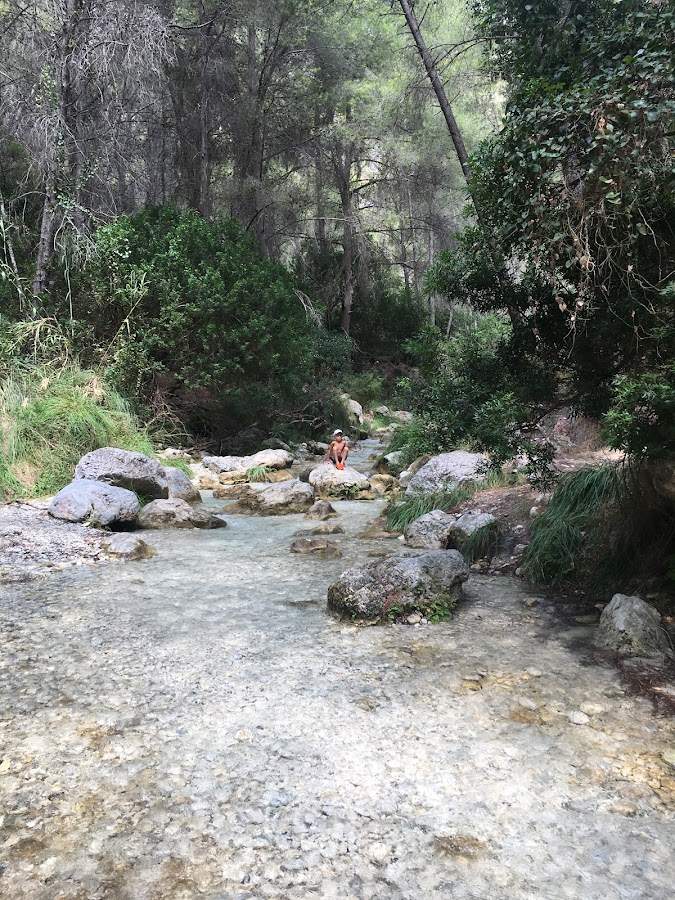 Poza de los Patos