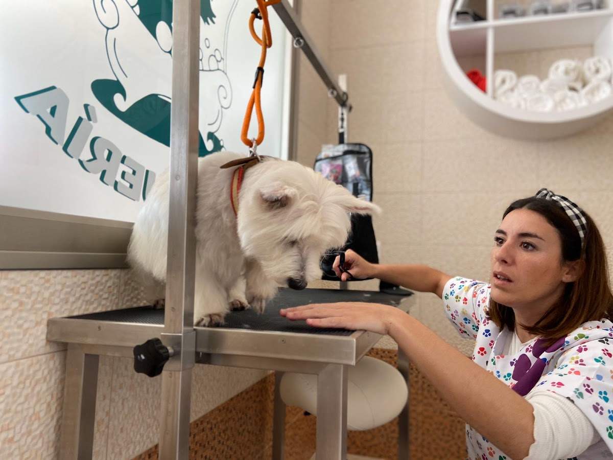 Clinica Veterinaria Esther Rivera