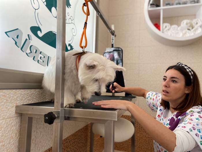 Clinica Veterinaria Esther Rivera