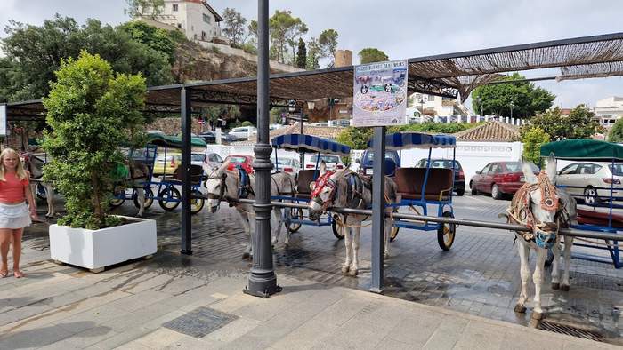 Mijas Burro Taxi