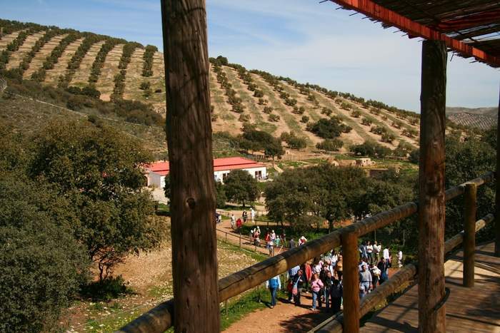 Lobo Park Antequera