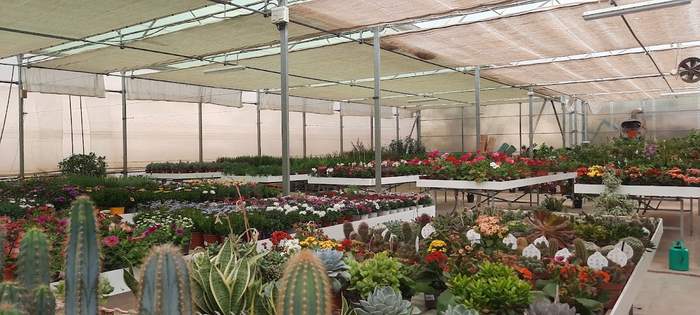 Fantastic Gardens