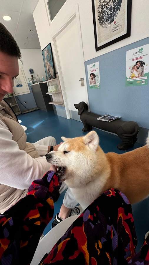 Clínica Veterinaria Animalogic Marbella
