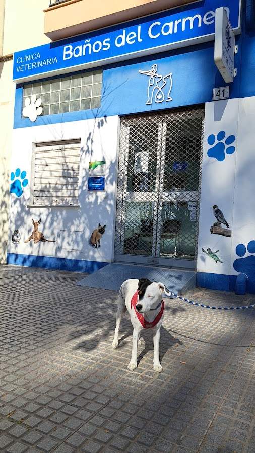 CLÍNICA VETERINARIA BAÑOS DEL CARMEN