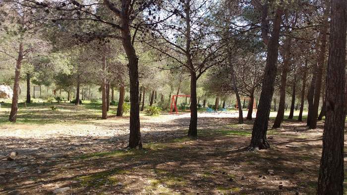 Área recreativa El Pinarillo