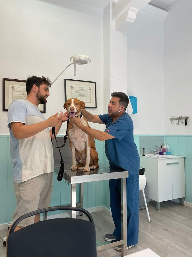 Centro Veterinario Fénix