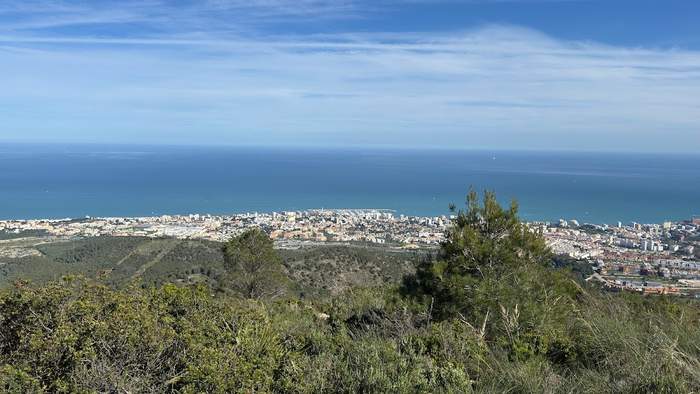 Mirador del Madroño