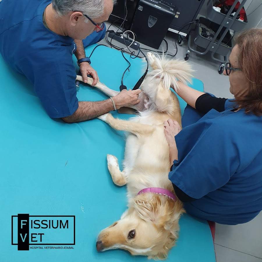 Hospital Veterinario Atabal