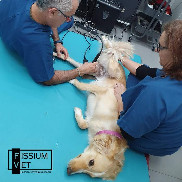 Hospital Veterinario Atabal