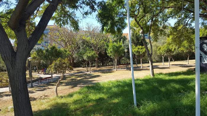 Parque Canino El Olivar