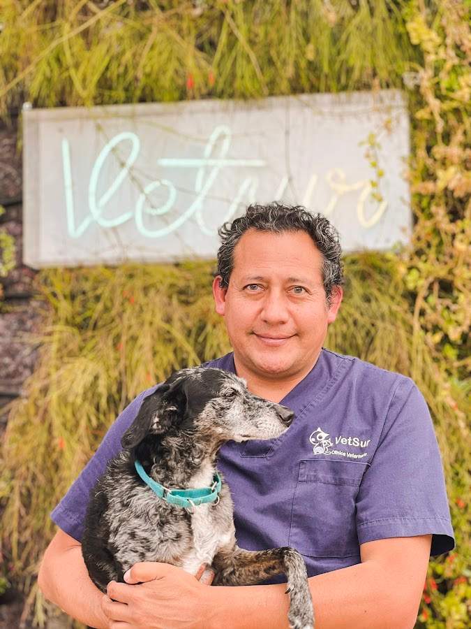 Clínica Veterinaria Vetsur