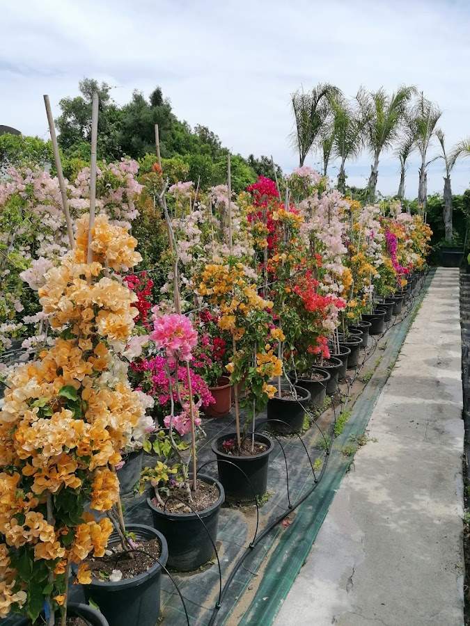 Jardinería Natural SLU