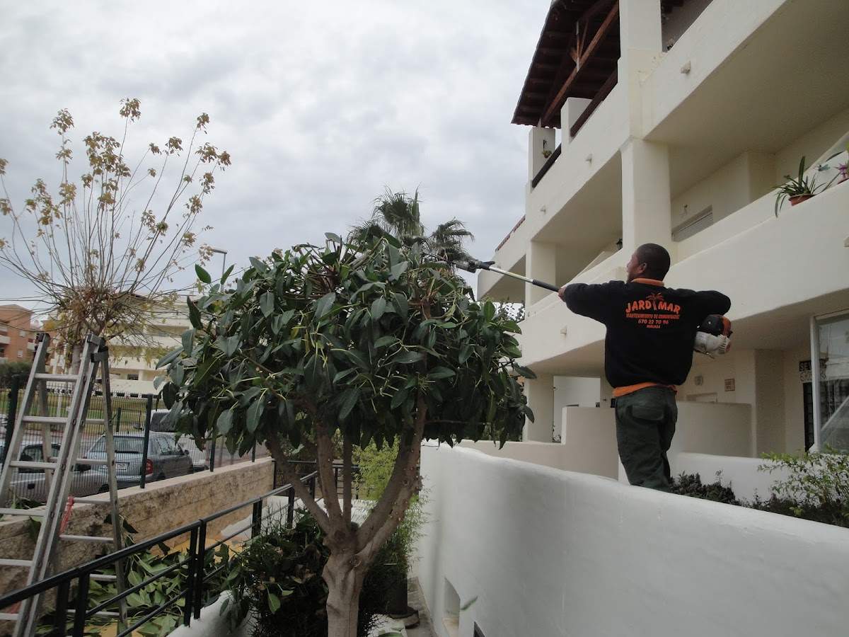 JARDIMAR MALAGA