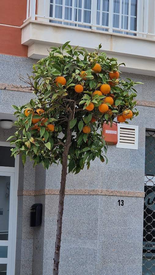 Lava Casa