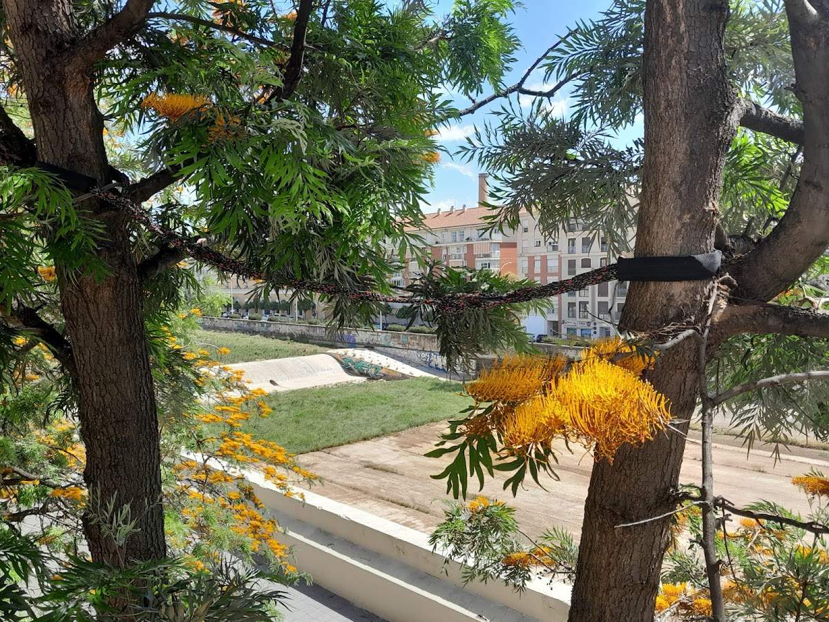Servicios de Arboricultura Málaga