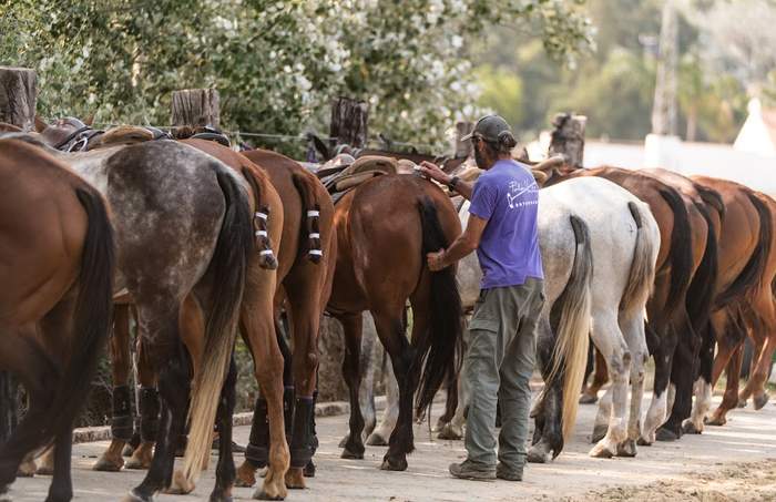 Polo Valley, Sotogrande