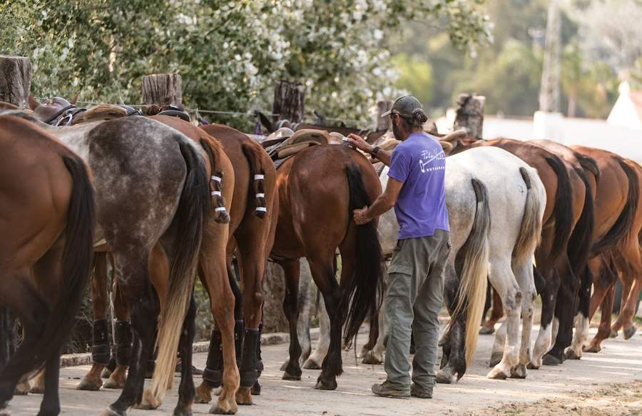 Polo Valley, Sotogrande