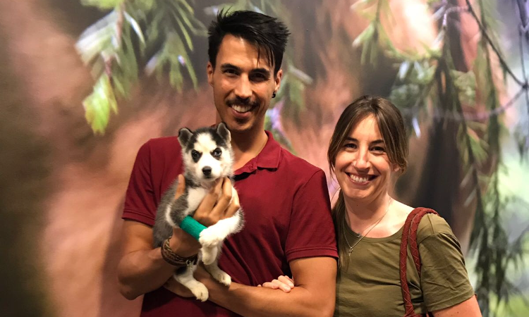 Urvet Marbella Urgencias Veterinarias