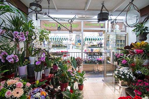 Floristería en Marbella Beyma Flor