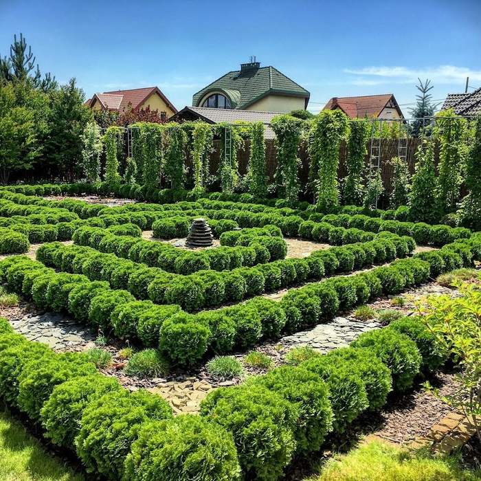Groove Garden Design