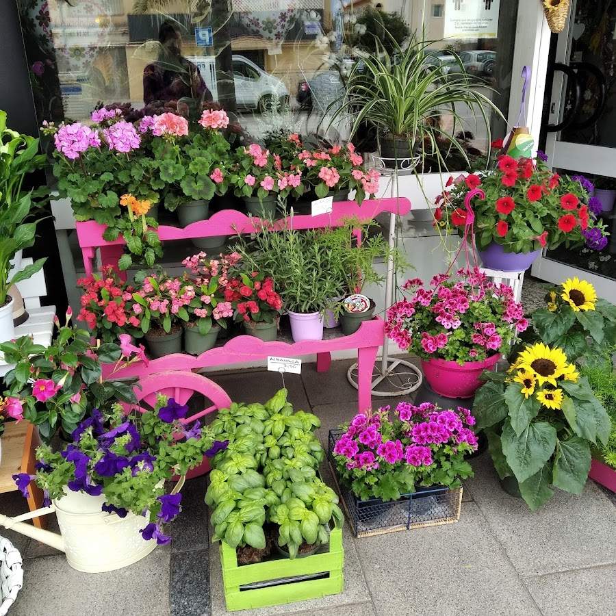 Floristería Luis