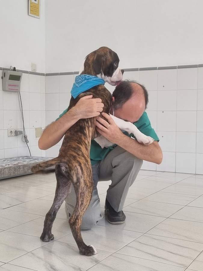 Clínica Veterinaria Las Camelias