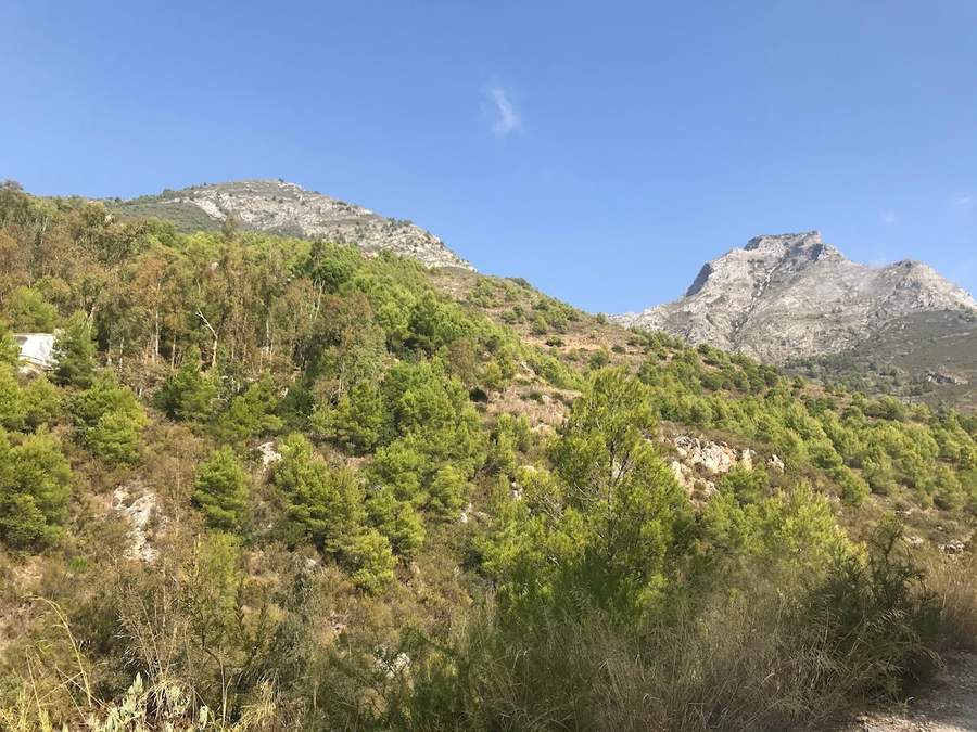 Fuente del Esparto