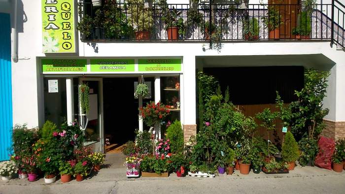 Floristería Franquelo