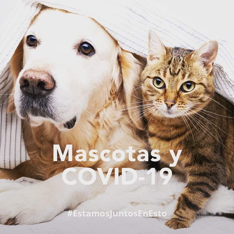 Clínica Veterinaría León - Antequera
