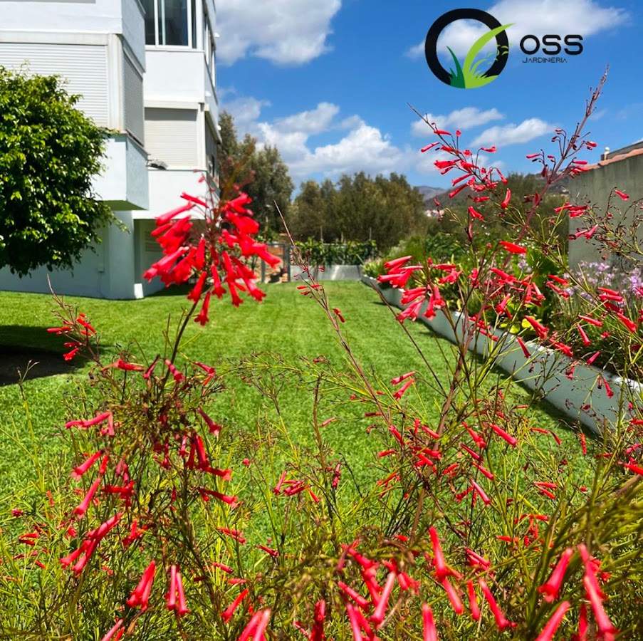 Oss Jardinería