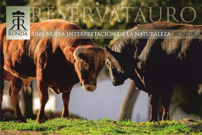 Reservatauro Ronda