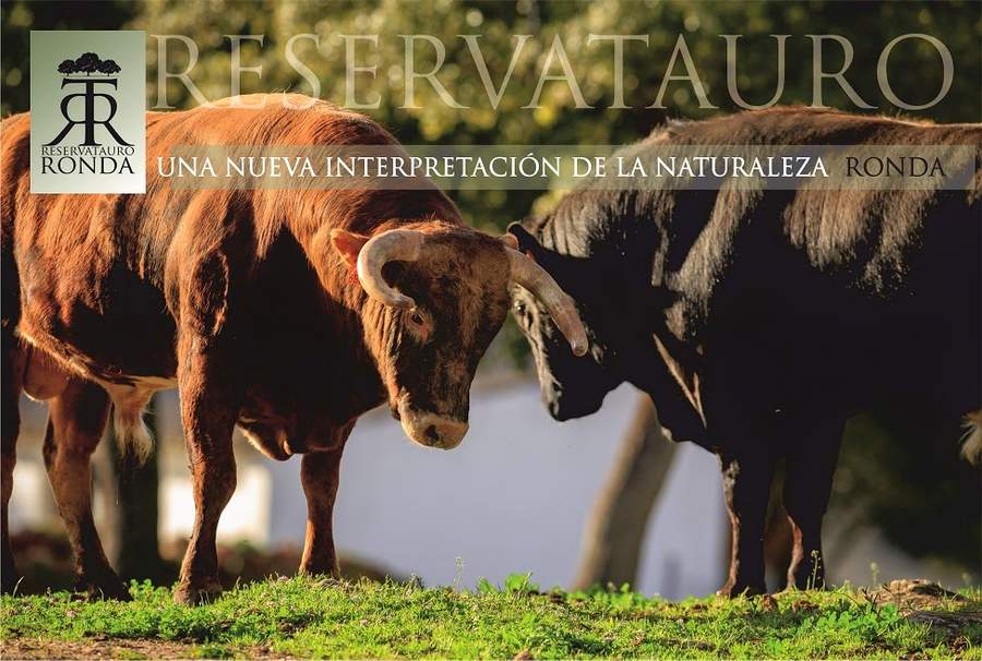 Reservatauro Ronda