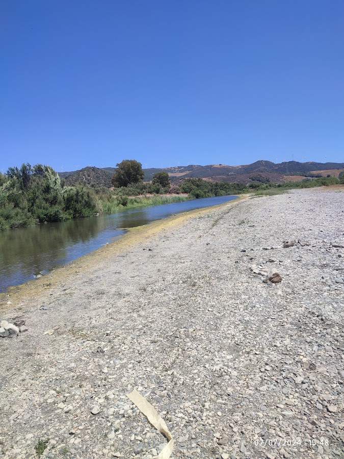 La playita de Guadiaro