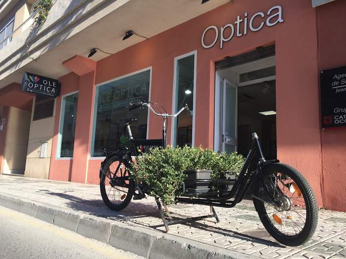Ole Optica