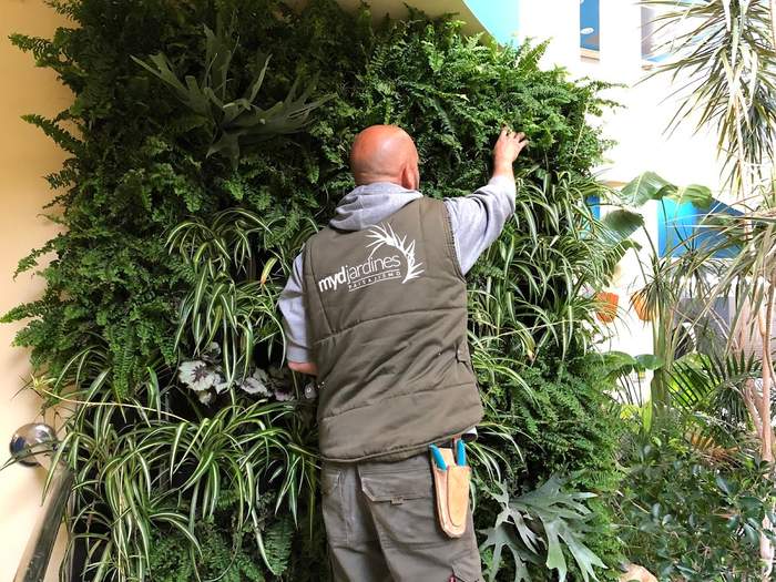 MyD Jardines