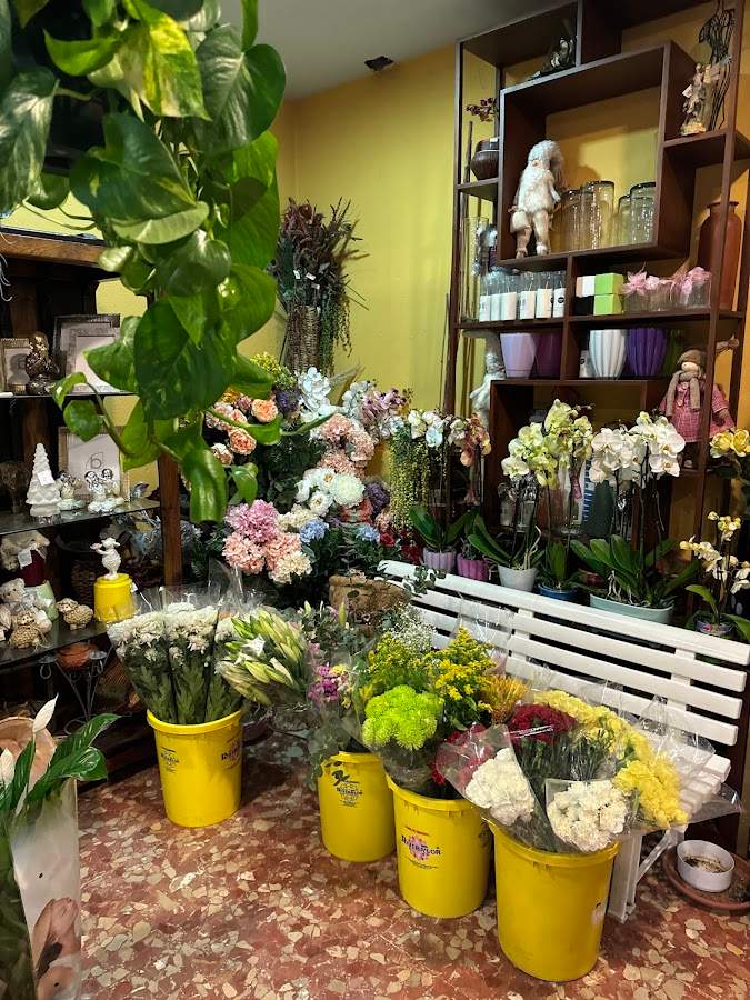Flores Decor