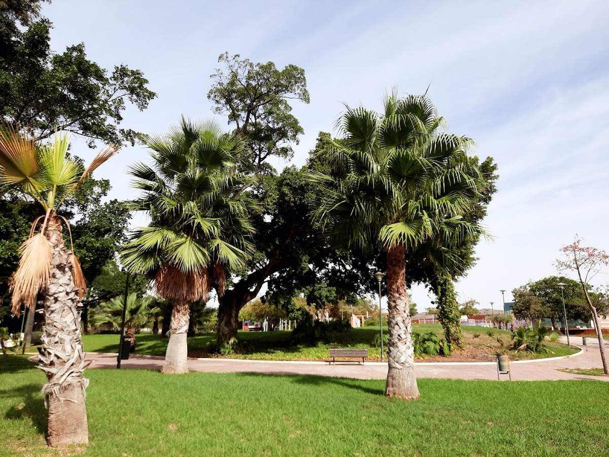 Parque Pintor Torres Mata