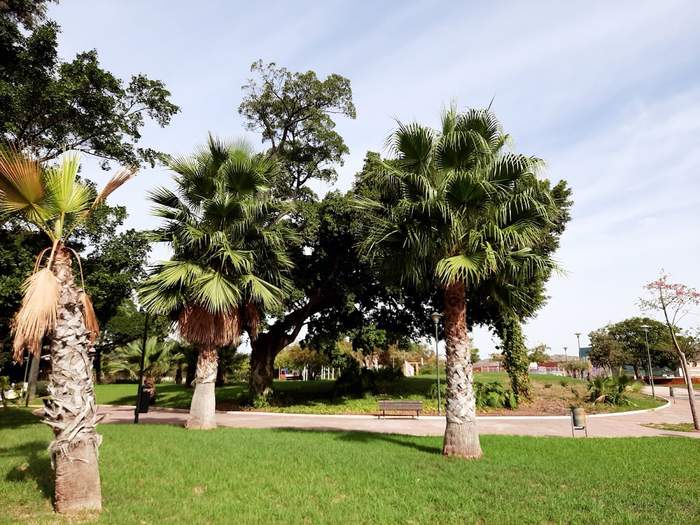 Parque Pintor Torres Mata
